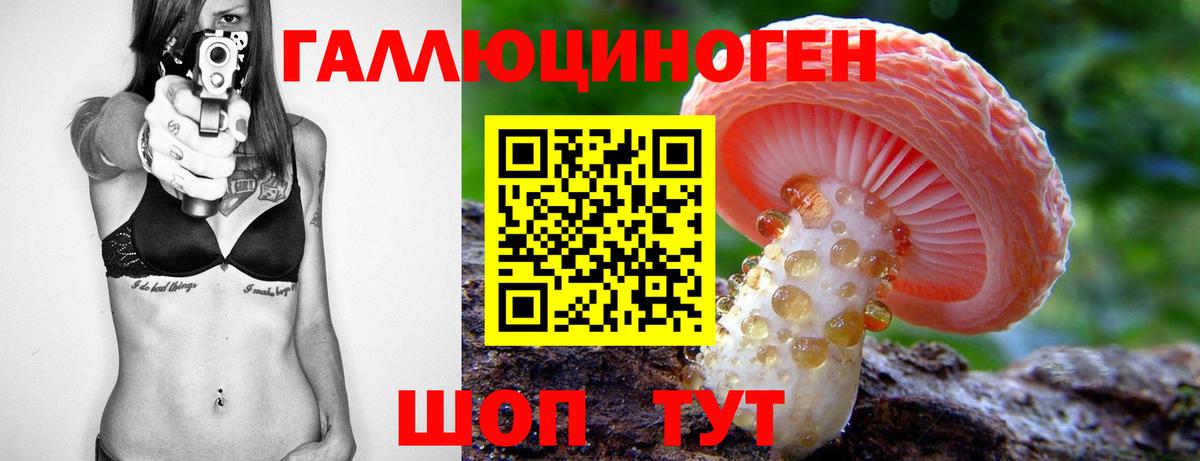 Димитровград  Галлюциногенные грибы Magic Shrooms  Вход с VPN 