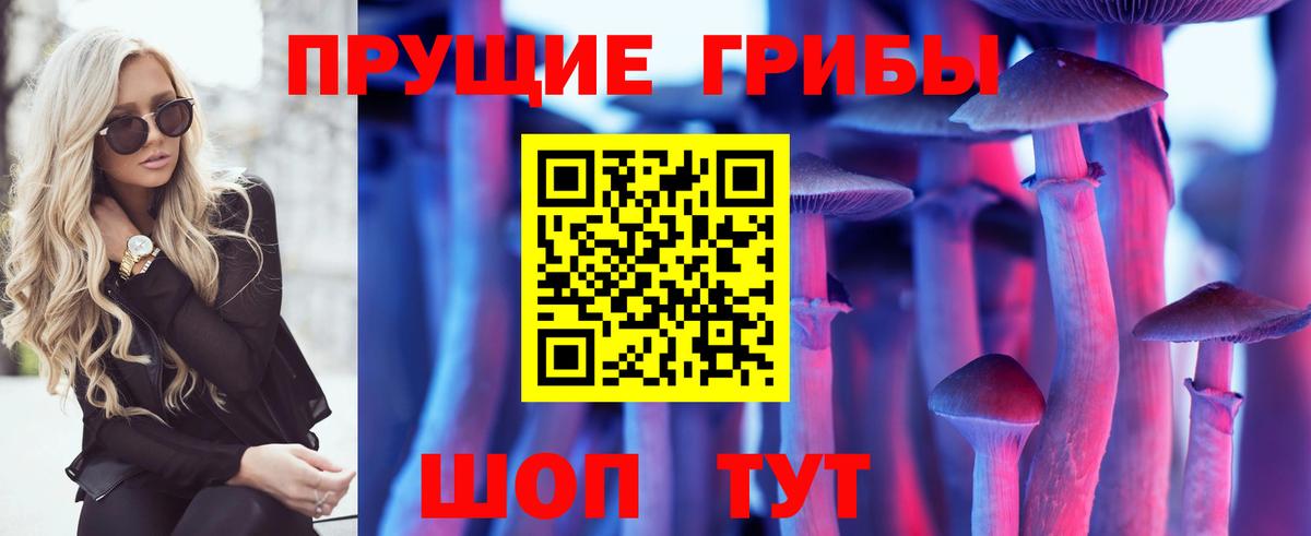 Псилоцибиновые грибы мухоморы Димитровград